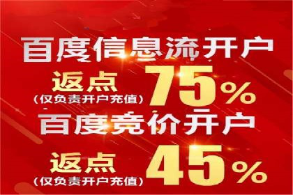 SEO关键词优化：某品牌逆袭的案例解析